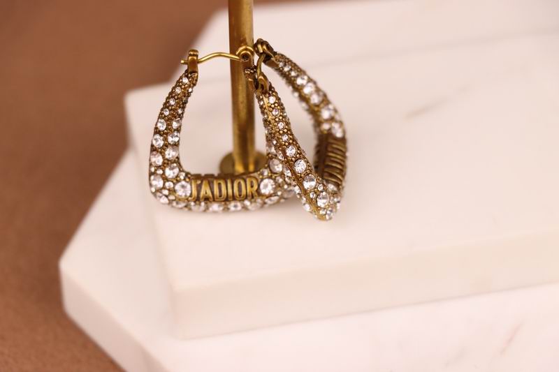 Dior Earring 04lyr232